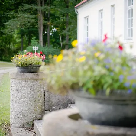 Oidremaa Manor Homestay Homestay szállás *