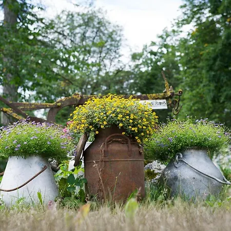 Oidremaa Manor Homestay Lihula